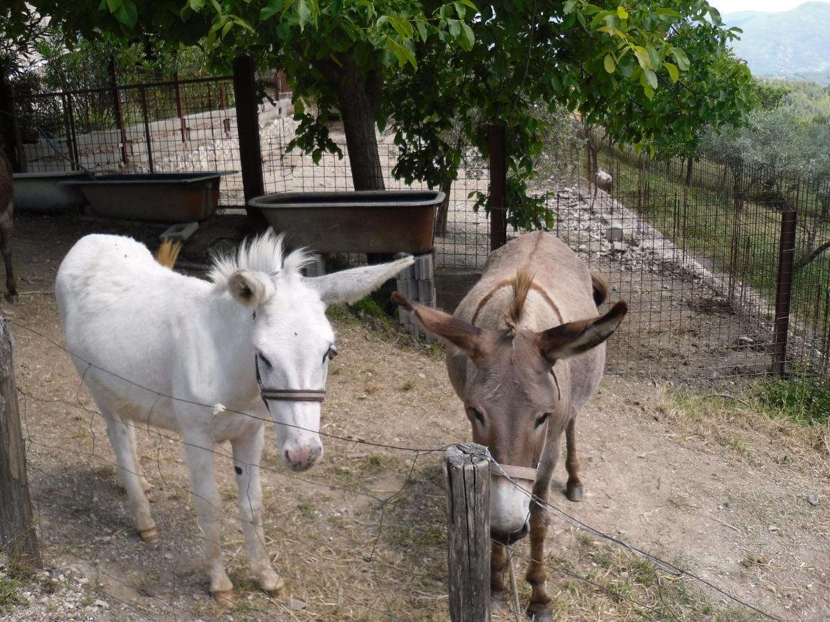 Montanari Agrivillage Narni Ngoại thất bức ảnh
