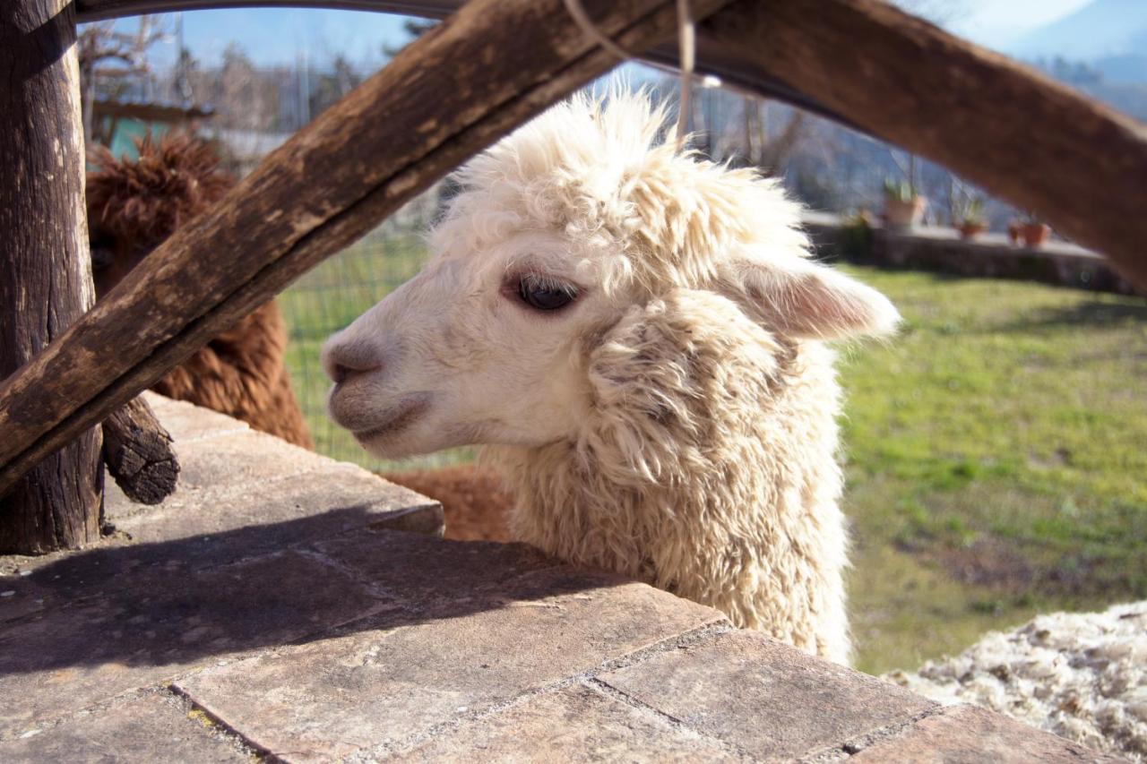 Montanari Agrivillage Narni Ngoại thất bức ảnh